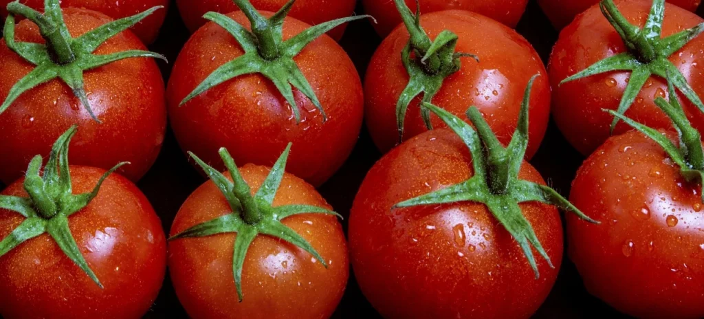 Ketchup Mutti pomidory