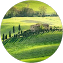 Ivona profile picture