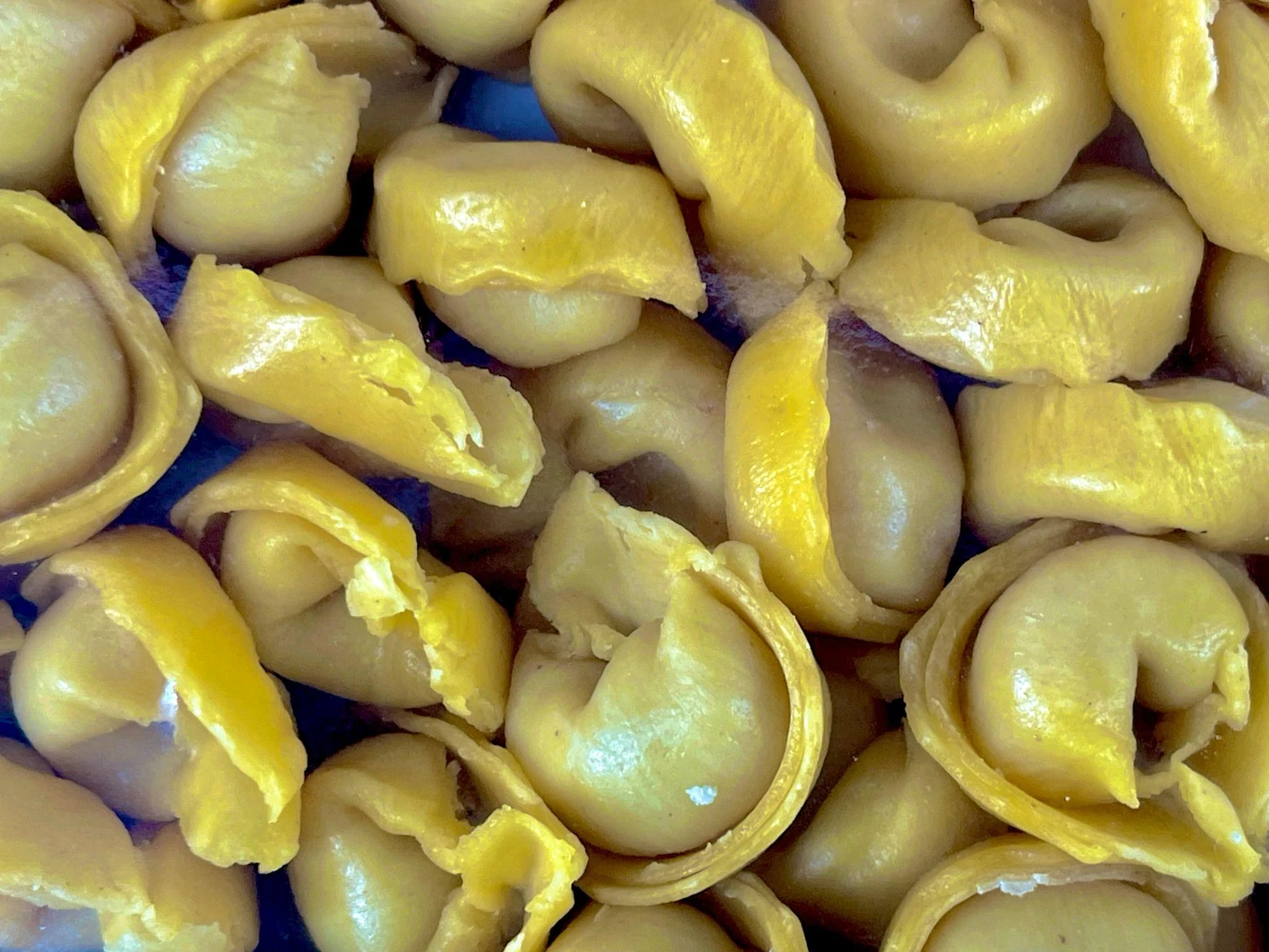 cappelletti